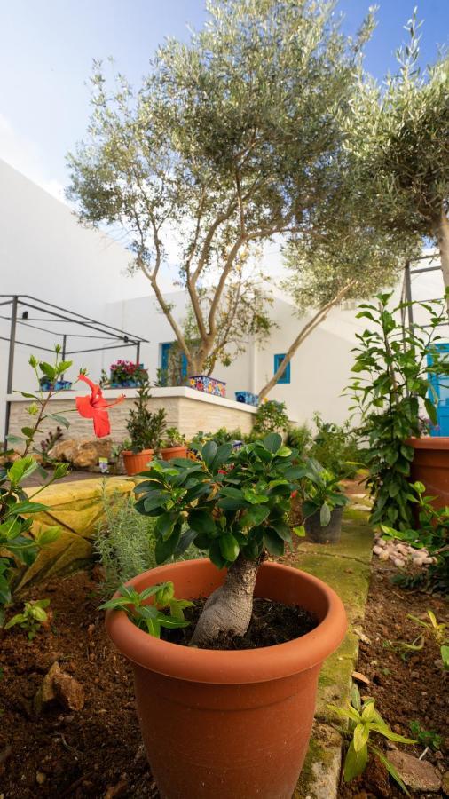 Solemare Bed and Breakfast Nadur Exteriör bild